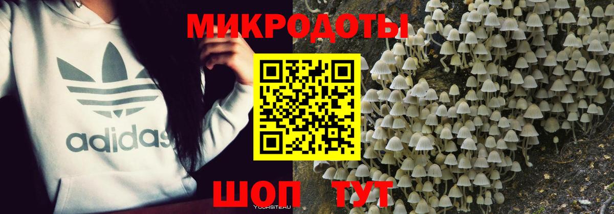 Псилоцибиновые грибы прущие грибы Кировск